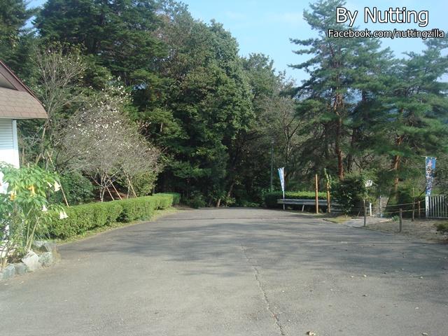 DSC03926.JPG